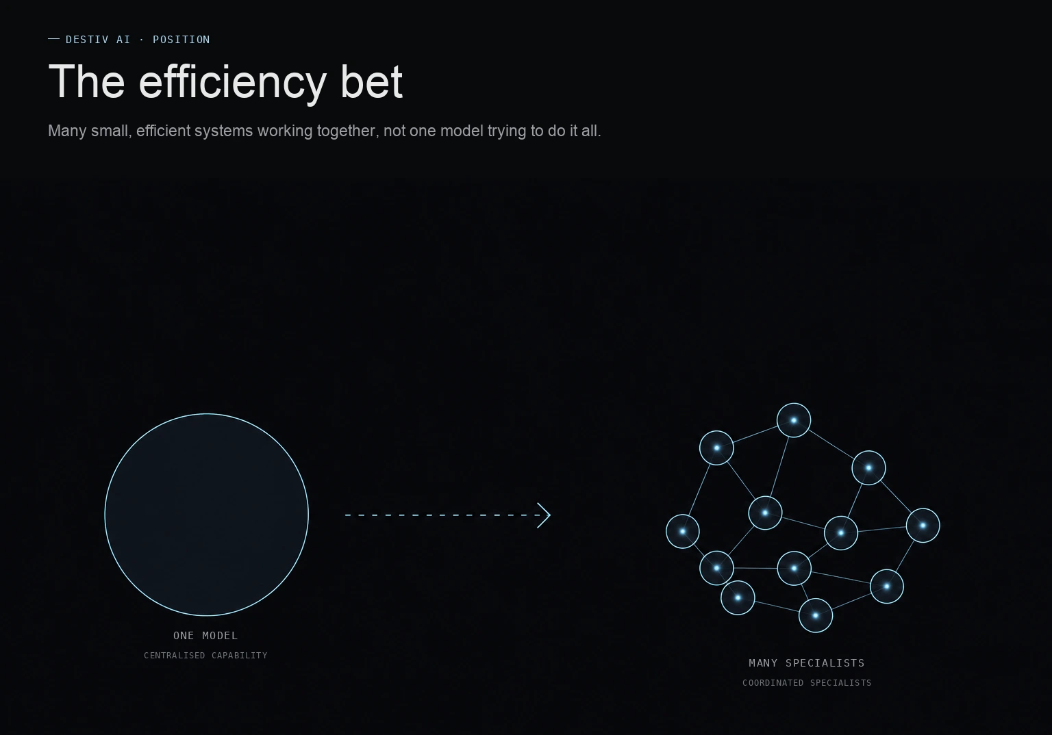 Infographic: one centralised model resolving into many coordinated specialists, titled The Efficiency Bet